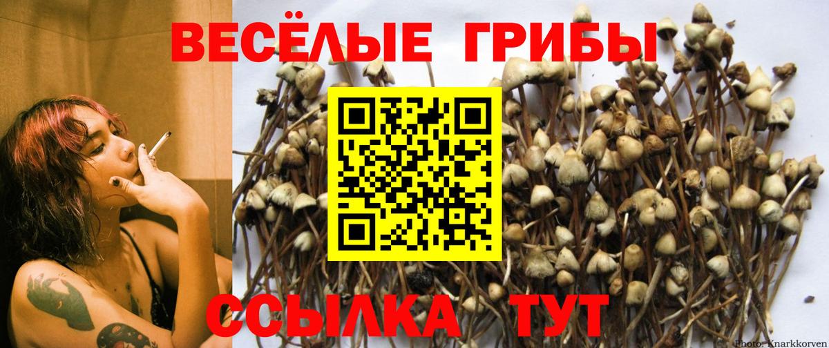 Псилоцибиновые грибы мухоморы Тайшет
