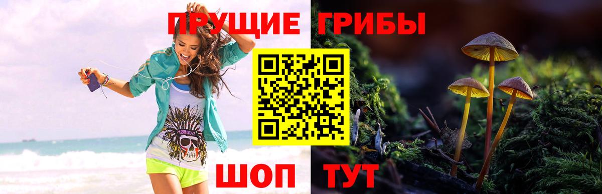 Тайшет  Галлюциногенные грибы MAGIC MUSHROOMS  Псилоцибиновые грибы мицелий  Вход с VPN 