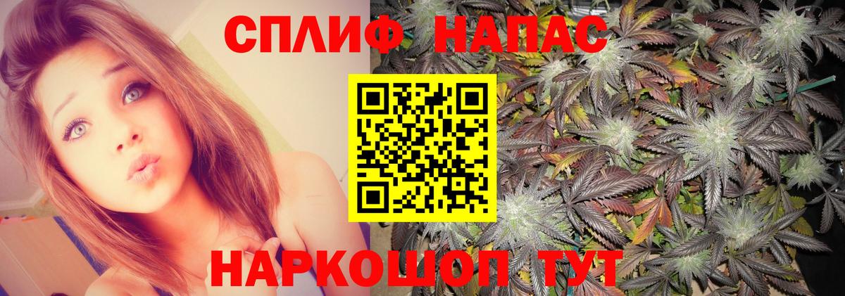 Каннабис план  Конопля индика  Вход с VPN  Бошки марихуана марихуана  Тайшет 